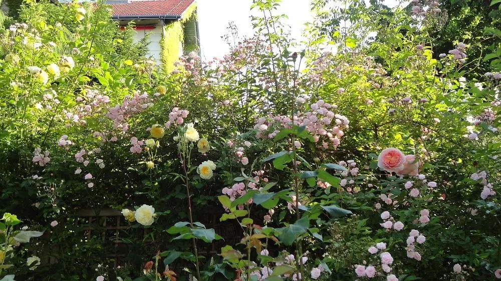Hotel Park Villa Wien